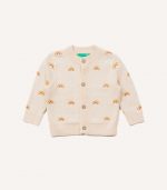 Small Rainbow Jumper